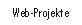 Web-Projekkte